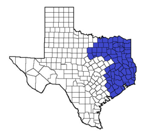 East Texas Private Investigator