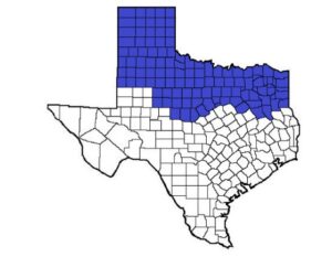 North Texas Private Investigator