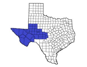 West Texas Private Investigators